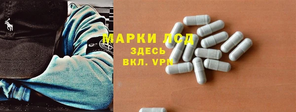 spice Дмитровск
