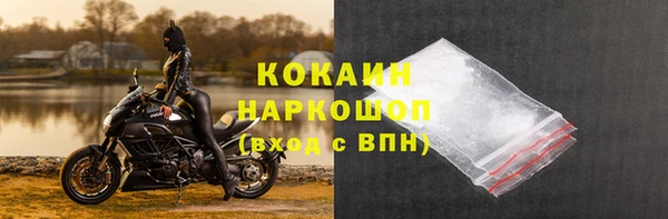 стаф Дмитров