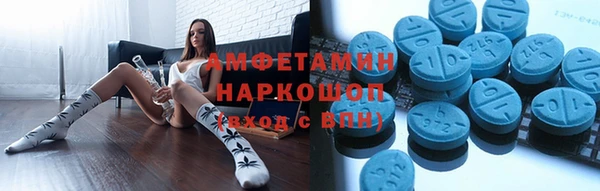 стаф Дмитров
