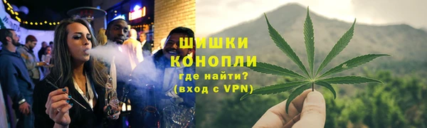 стаф Дмитров