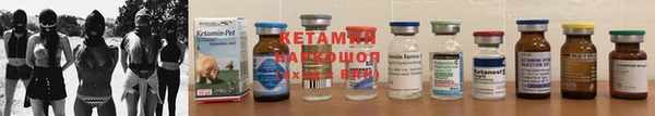 стаф Дмитров