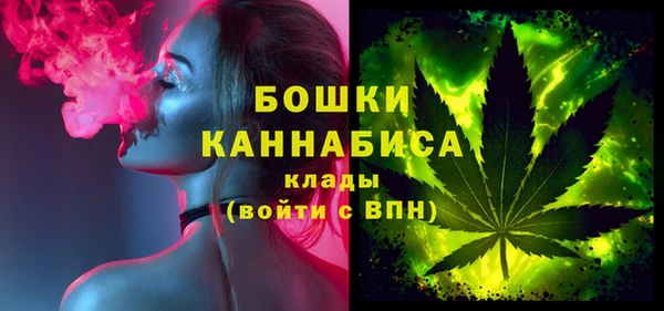 стаф Дмитров
