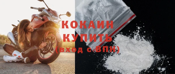 стаф Дмитров