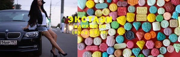 стаф Дмитров