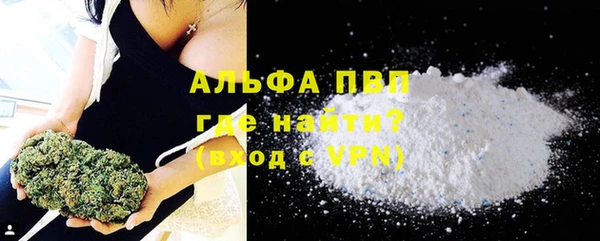 стаф Дмитров