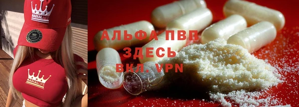 стаф Дмитров